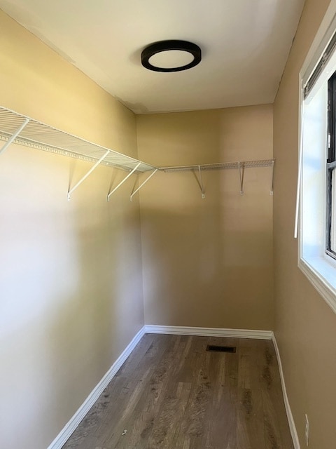 Building Photo - 203 Vienna Cir
