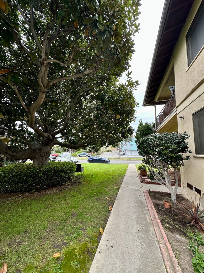 Interior Photo - 321-325 Calle Miramar