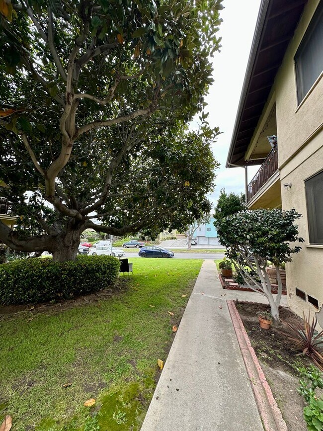 Interior Photo - 321 Calle Miramar