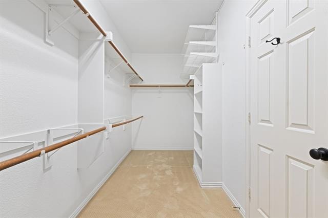 Building Photo - 2021 Country Brook Ln