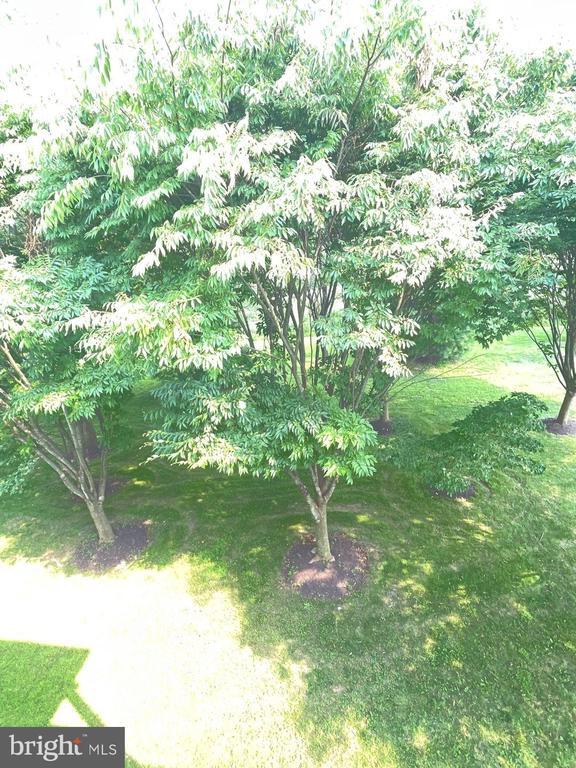 Building Photo - 8474 Pamela Way