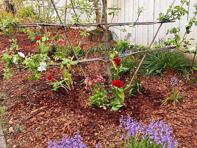 Building Photo - 4409 SE 89th Ave