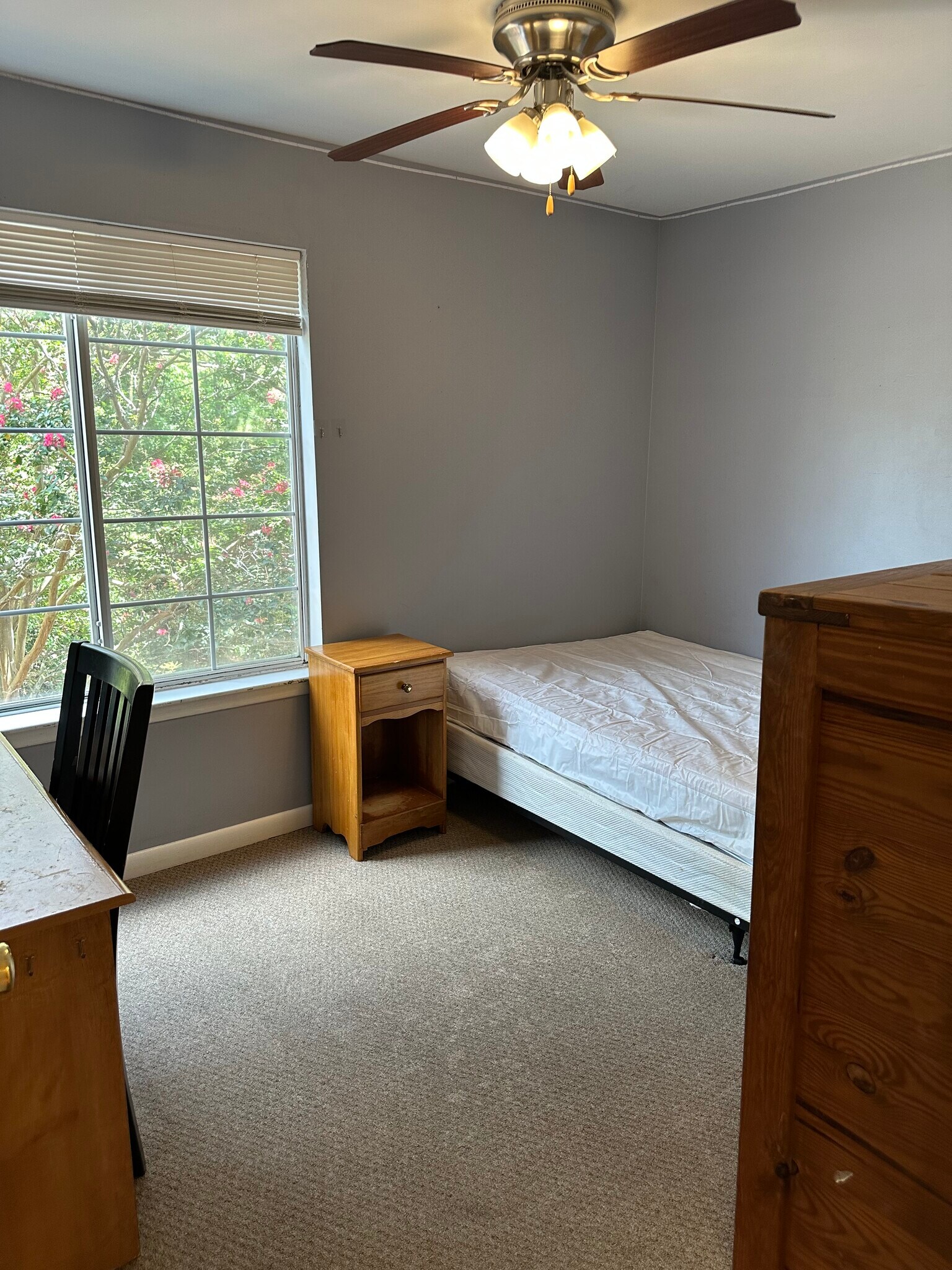 Building Photo - 220 Elm St