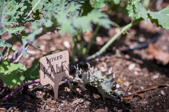 Building Photo - 919 RIVAS CANYON Rd