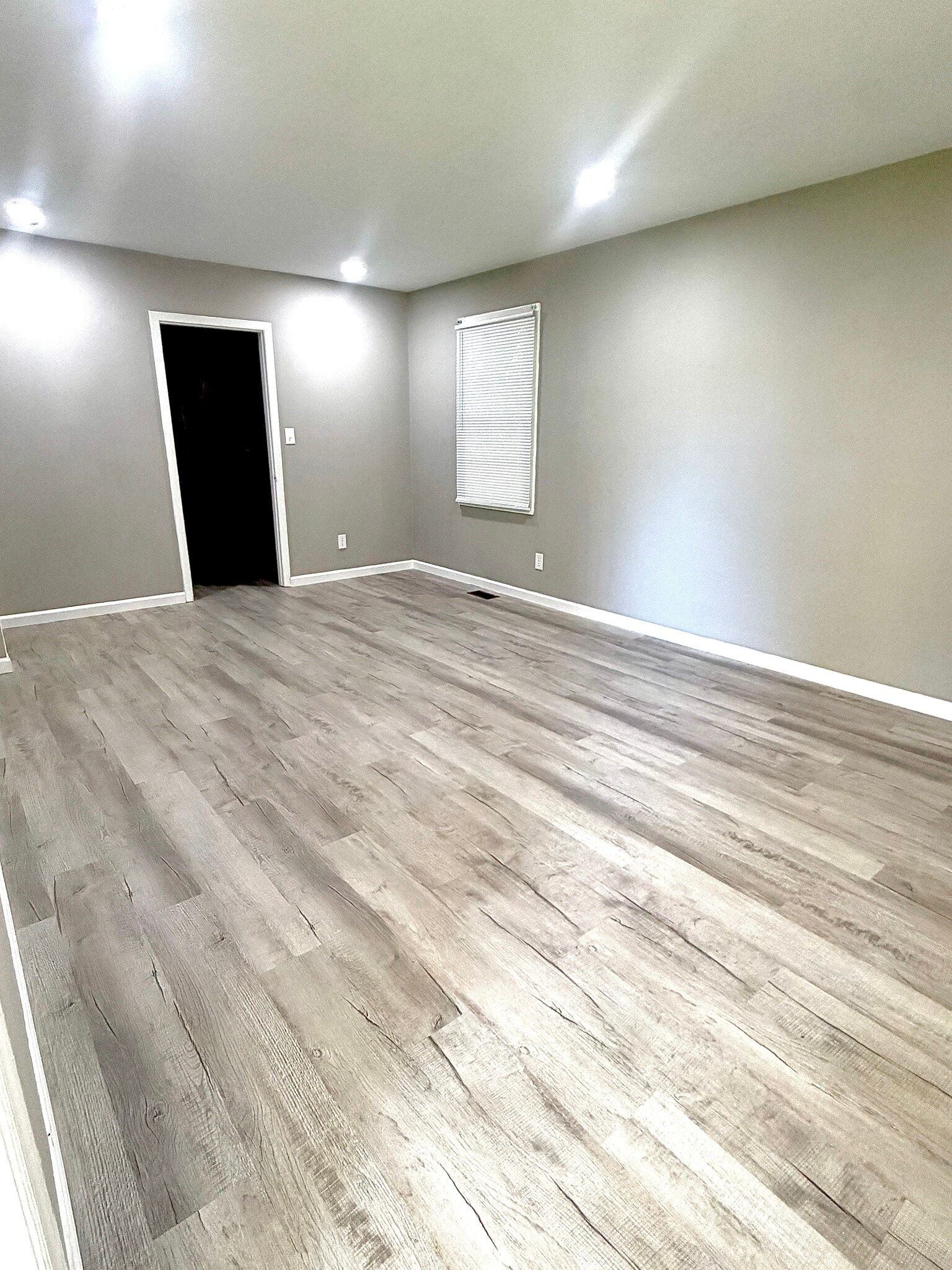 Living Room - modern luxury vinyl plank flooring and neutral paint. - 125 Trio Ln