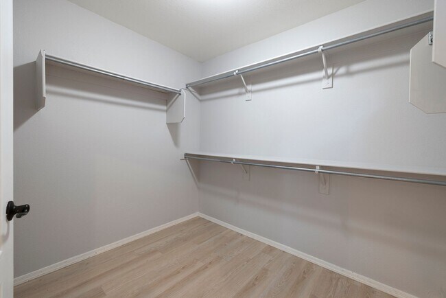Building Photo - 8824 Cortile Dr