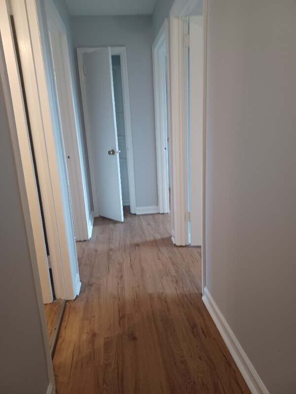 Building Photo - 3211 LUANN Dr