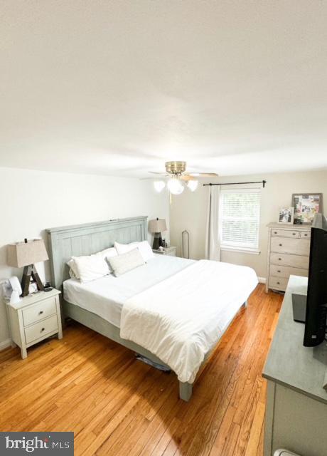 Building Photo - 235 Rodney Cir