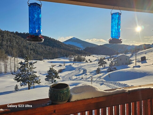 Building Photo - 47 Monarch Dr