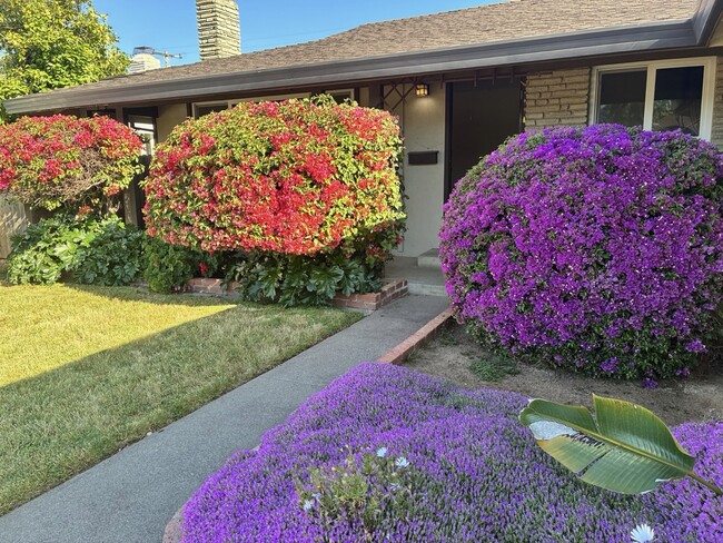 Primary Photo - 3236 Rosemont Dr