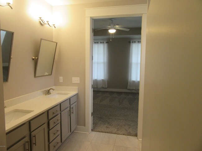 Building Photo - 1117 Blazing Star St