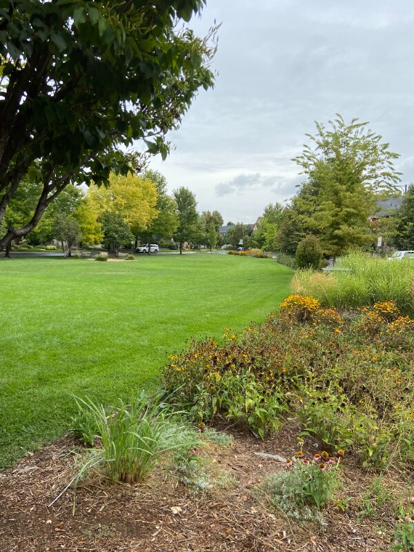 Building Photo - 2458 Syracuse St