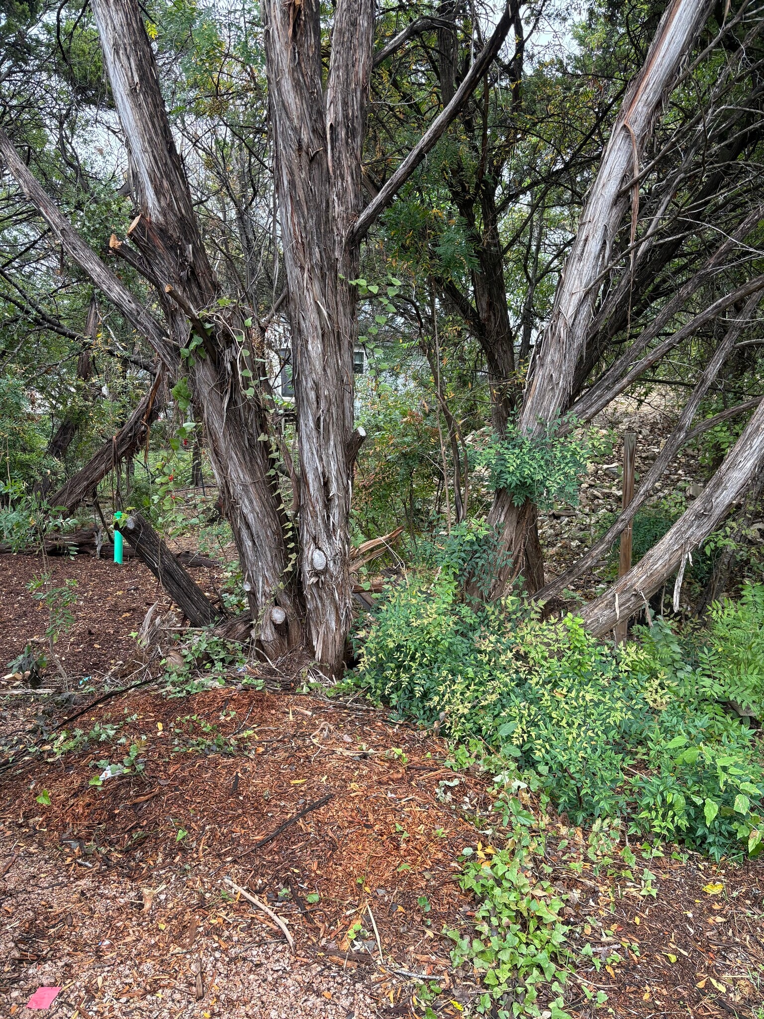 Building Photo - 7214 Comstock Cove