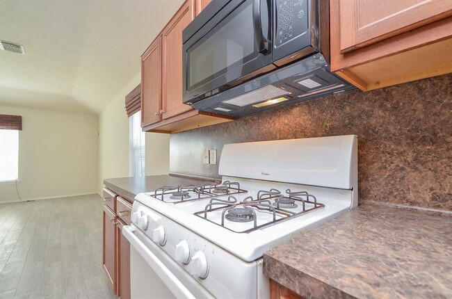 Building Photo - 18135 Sorrell Oaks Cir