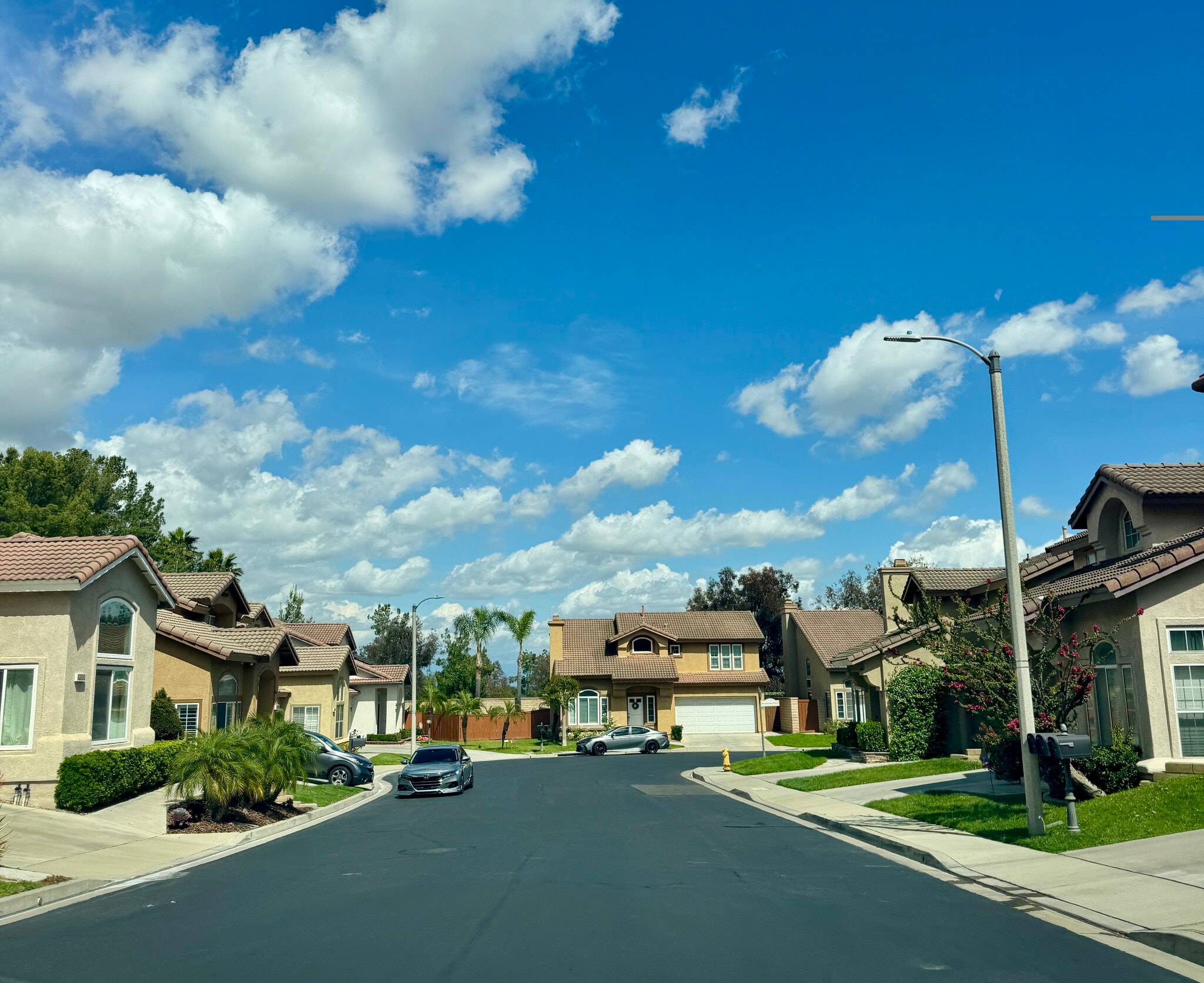 Neighborhood - 2834 Rolling Meadow Dr