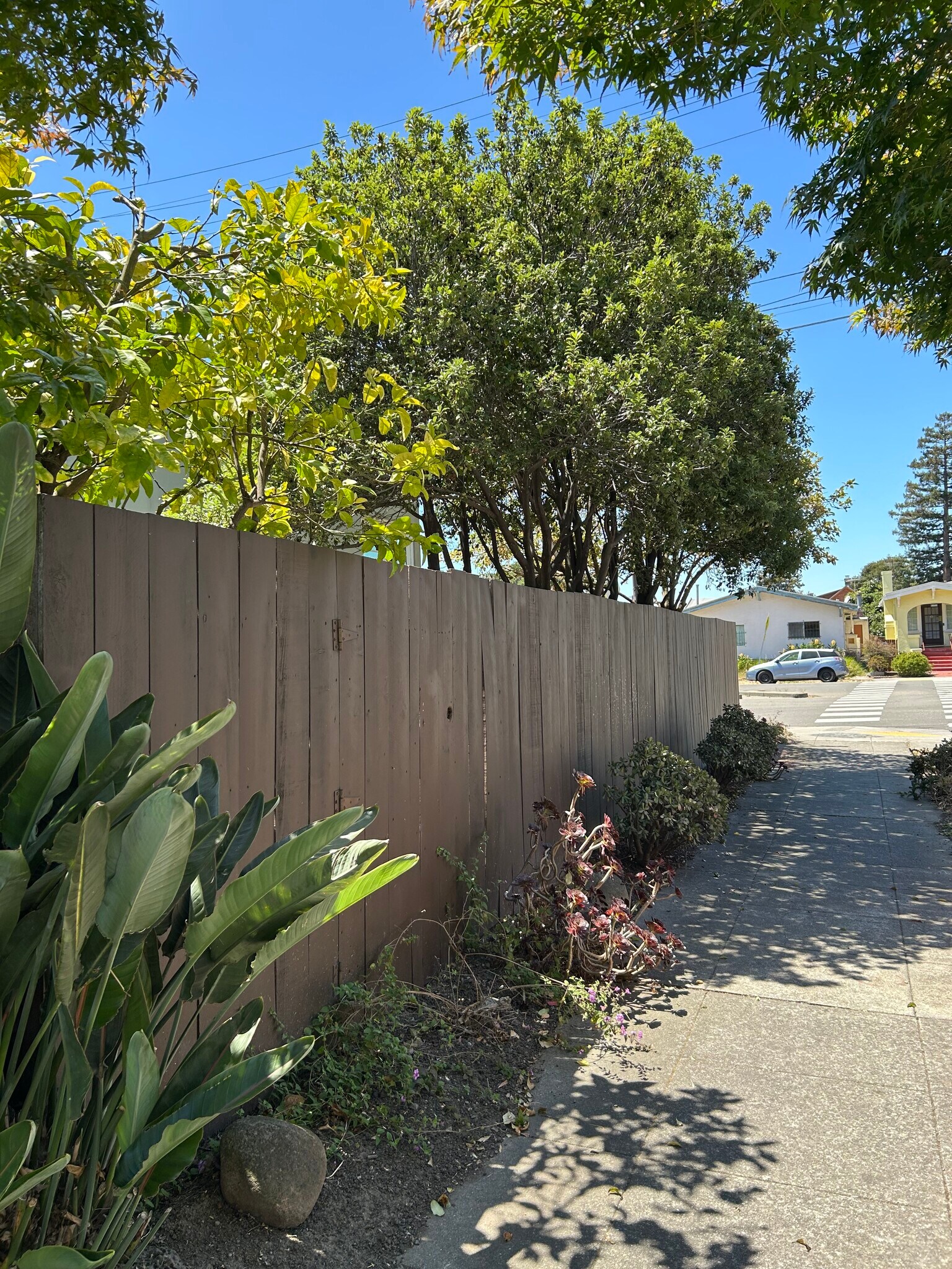 Exterior fence. - 1903 Sacramento St