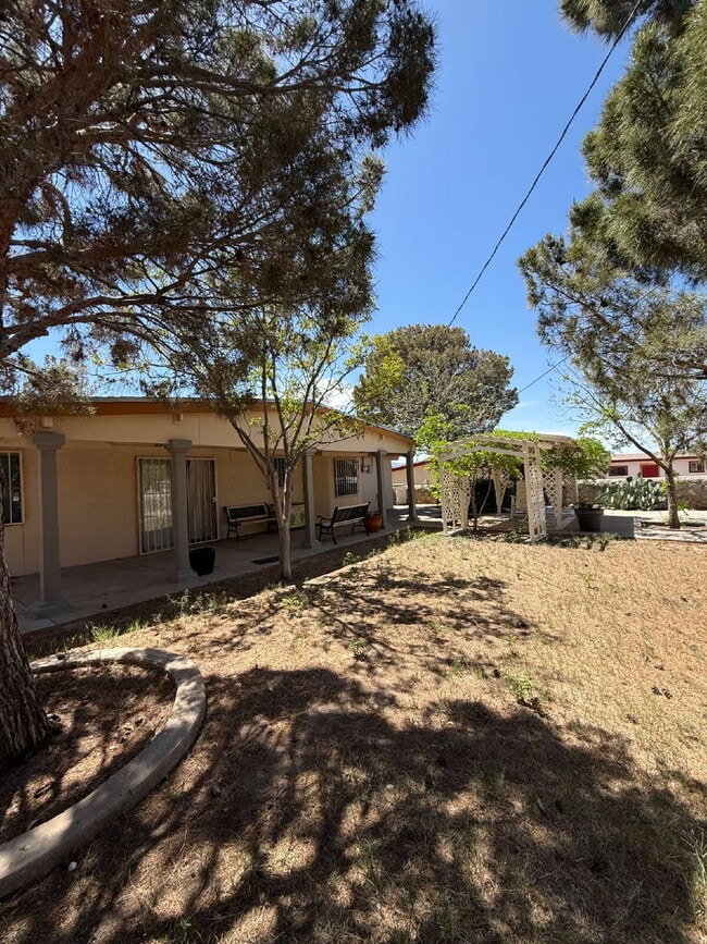 Building Photo - 10449 Chinaberry Dr