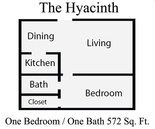 The Hyacinth - HARRIS GARDENS