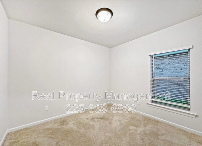 Building Photo - 23447 Mango Dr