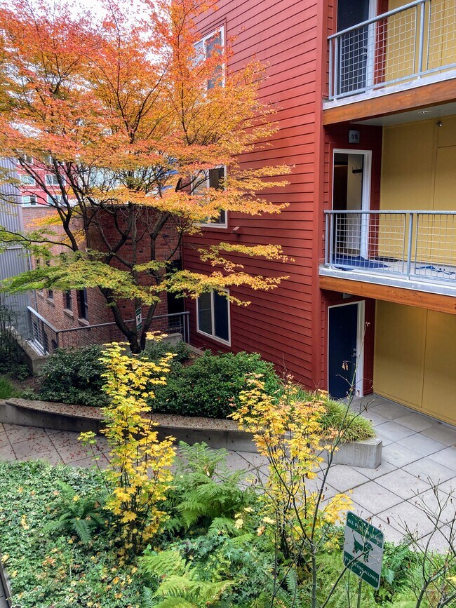 Building Photo - 2440 Western Ave