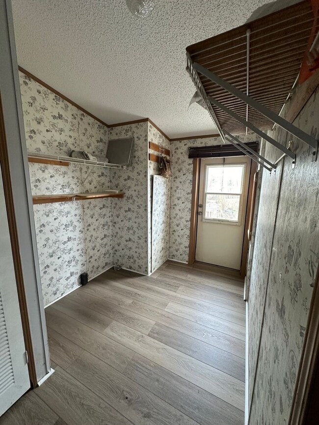 Building Photo - Spacious home in Campbell County. Country living!