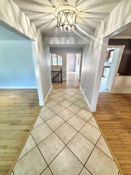 Building Photo - 813 Big Bend Woods Dr