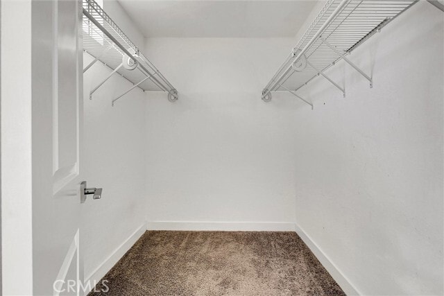 Building Photo - 1318 Stillman Ave