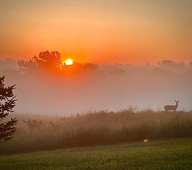 Building Photo - 220 Meadow Woods Dr