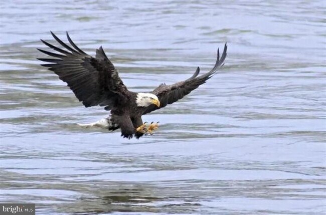 Building Photo - 247 Fountain St