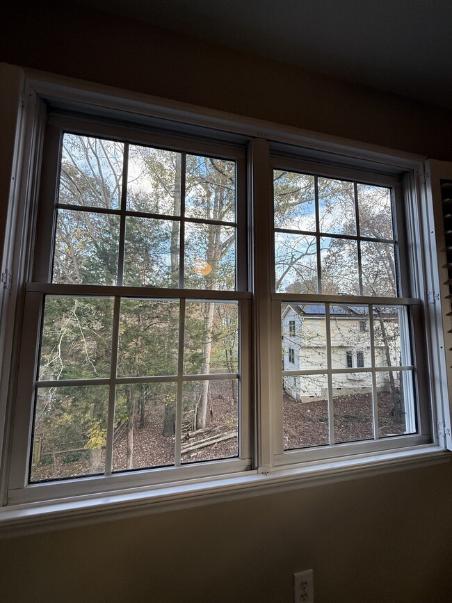 master bedroom window view - 110 Sudbury Ln