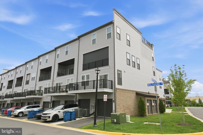 Building Photo - 44481 Wolfhound Sq