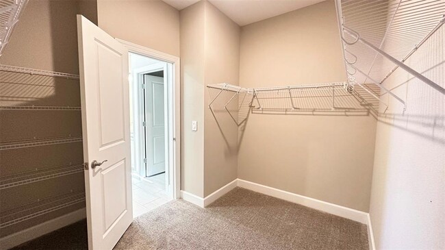 Building Photo - 3806 Savanna Palms Ct