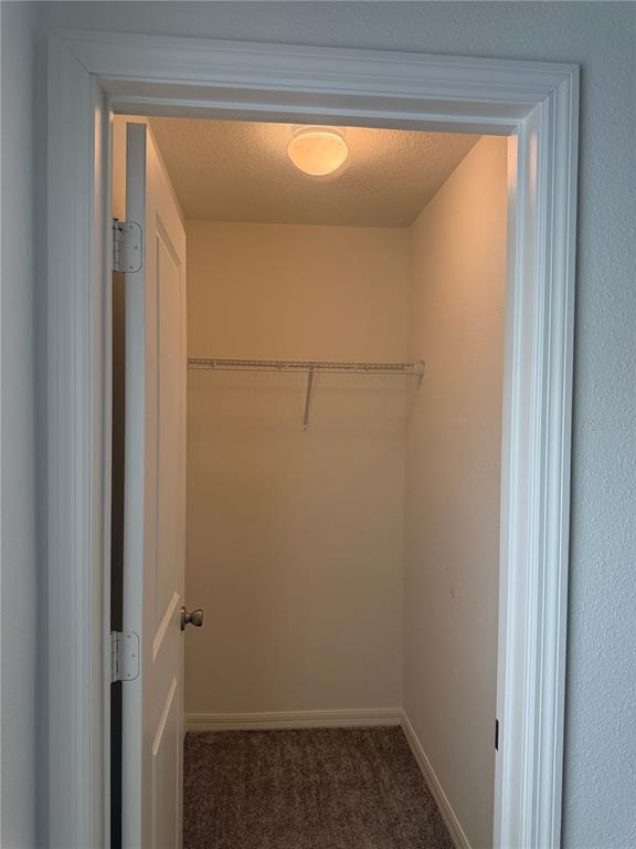 Building Photo - 711 Scrub Oak Hammock Rd