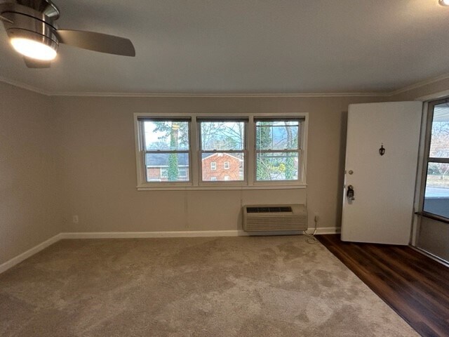 Living Room - 825 Daniels St