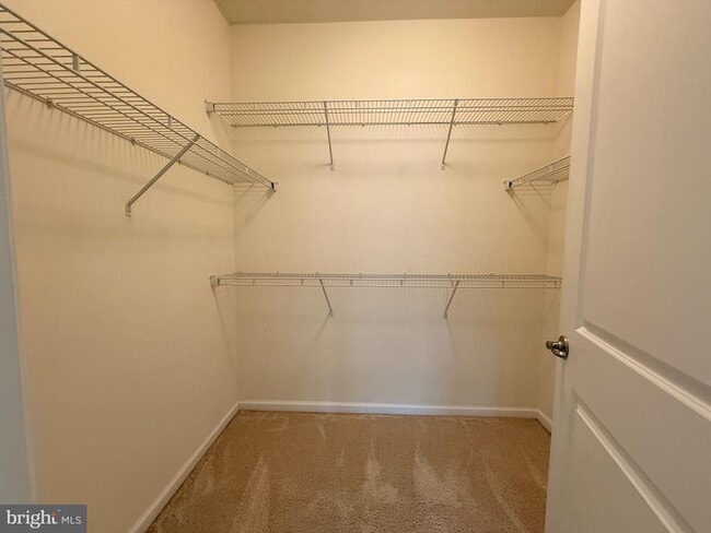 Building Photo - 7296 Dorchester Woods Ln