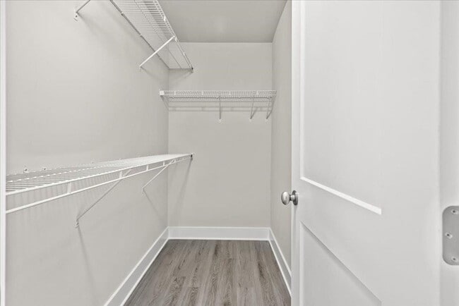 Building Photo - 3545 Catalina Dr