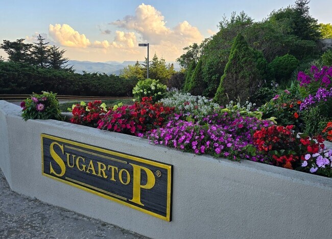 Building Photo - 303 Sugar Top Dr