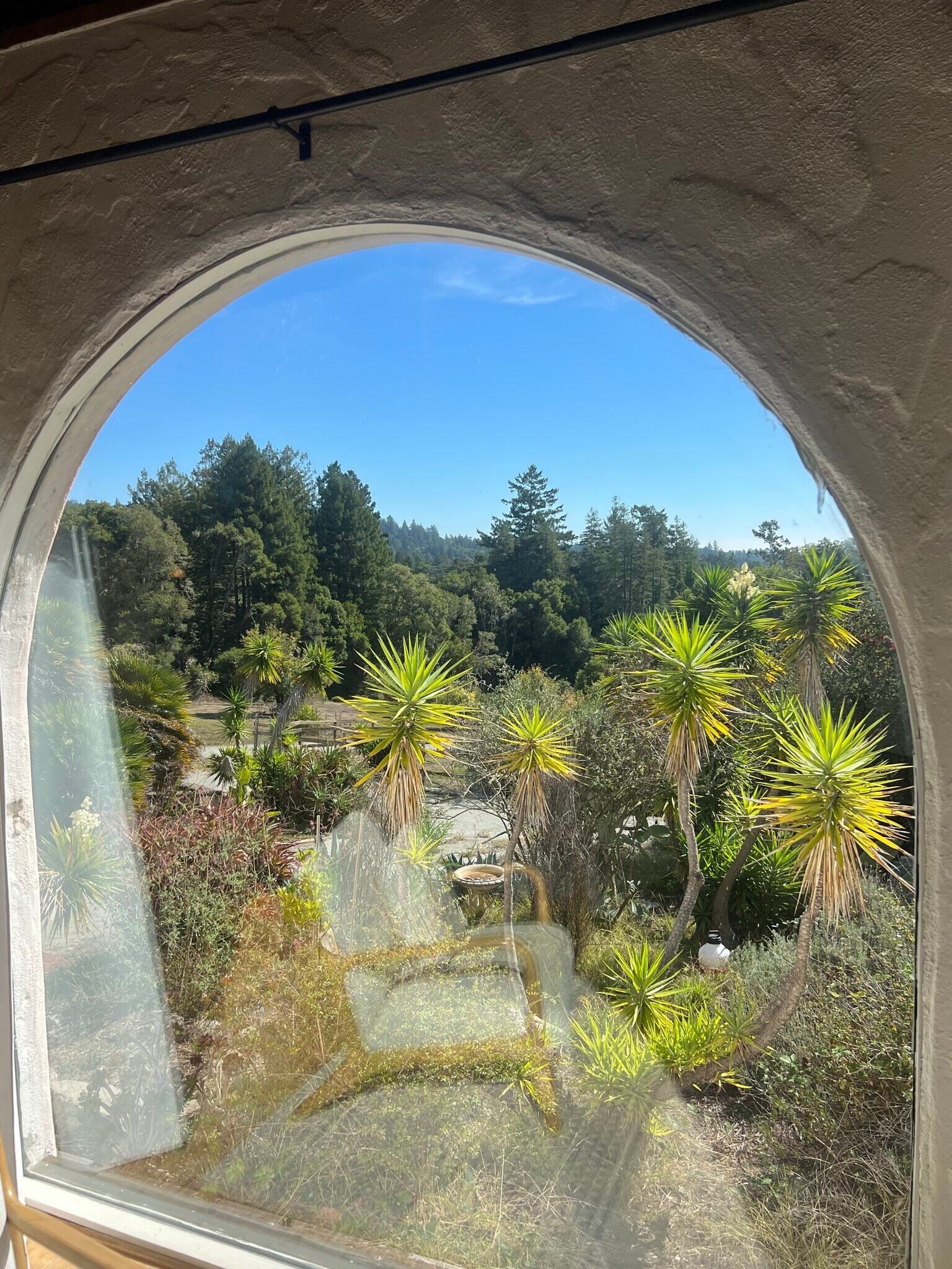 View from living room - 3333 Fern Flat Rd