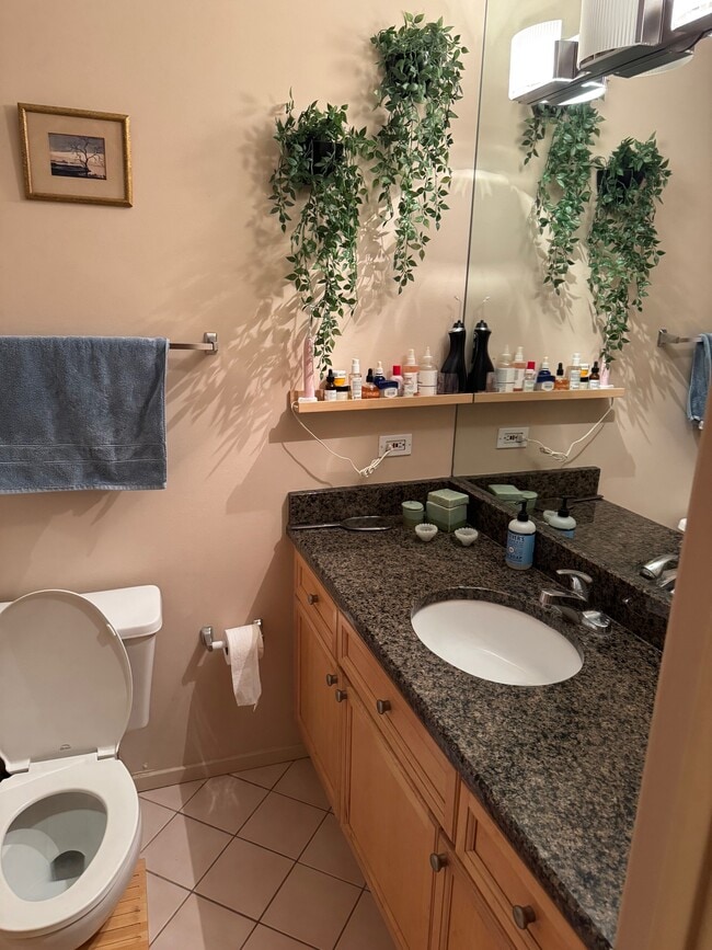 Granite top bathroom - 2300 W Wabansia Ave
