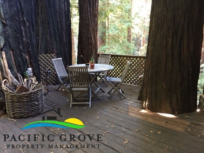 Building Photo - Cabin on Palo Colorado