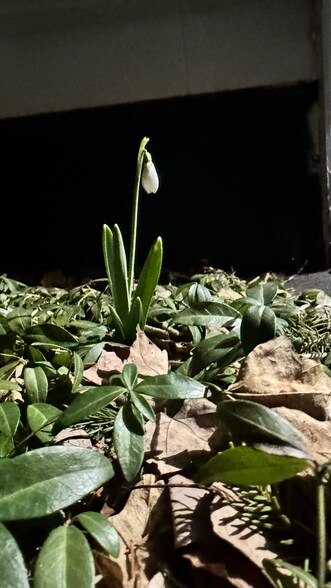 Building Photo - 31 Perimeter Rd