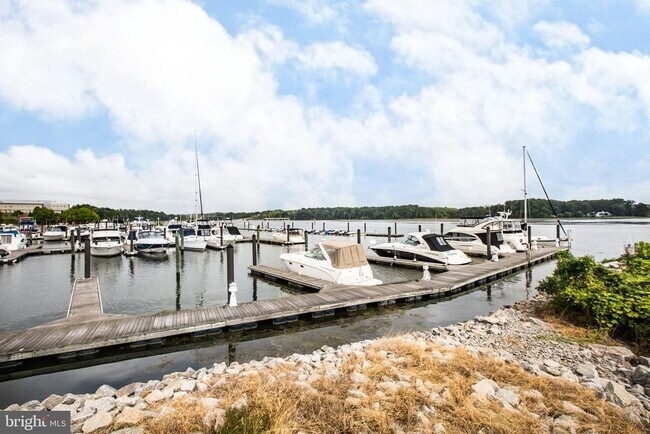 Building Photo - 500 Belmont Bay Dr