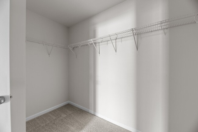 Building Photo - 4008 Madeline Farm Blvd