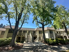 Building Photo - Spacious 2 Bedroom 2 Bathroom Unit in The ...