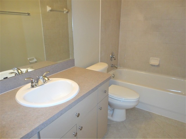 Building Photo - 1510 Canoe Dr