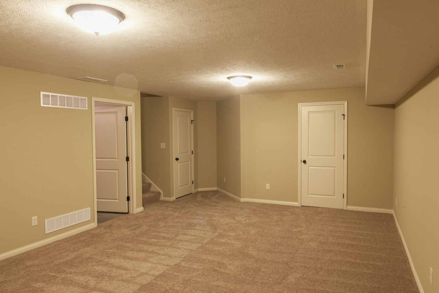 Basement - 3620 Chardonnay Ct