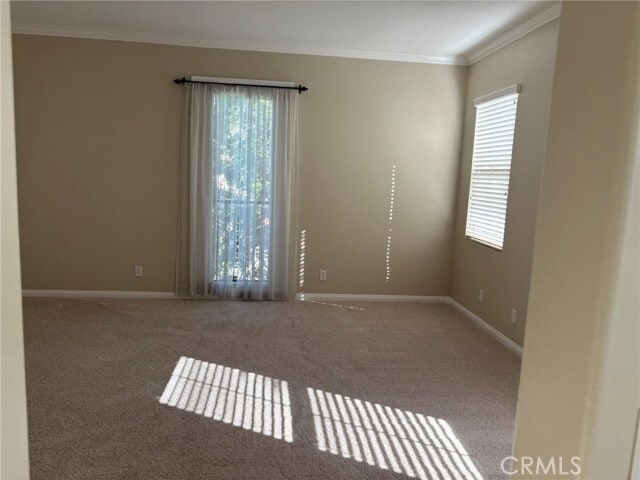 Building Photo - 23 Prickly Pear