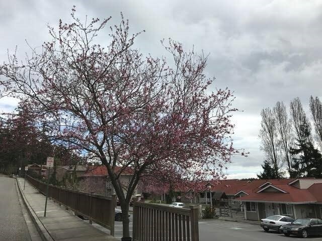 Building Photo - 525 Perry Pl