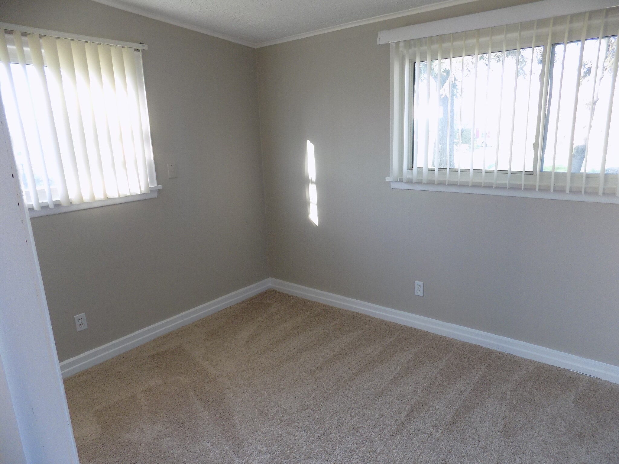 Building Photo - 2505 Maplewood Dr