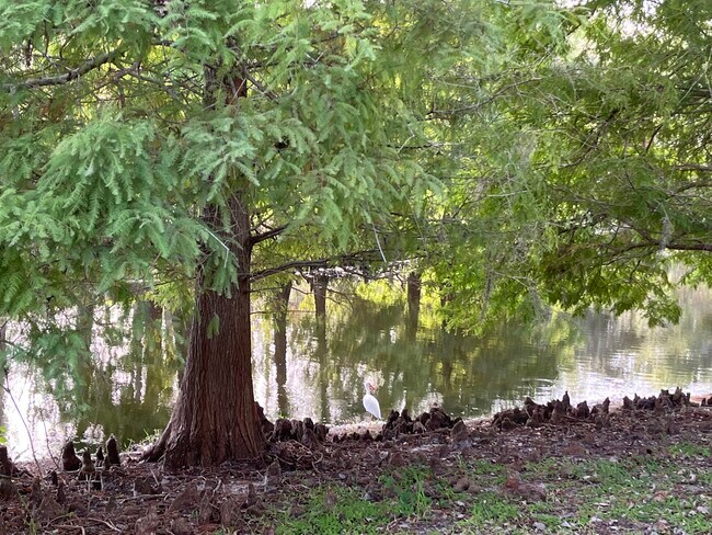 Building Photo - 14467 Mirabelle Vista Cir